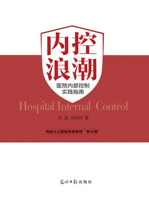 cover image of 内控浪潮